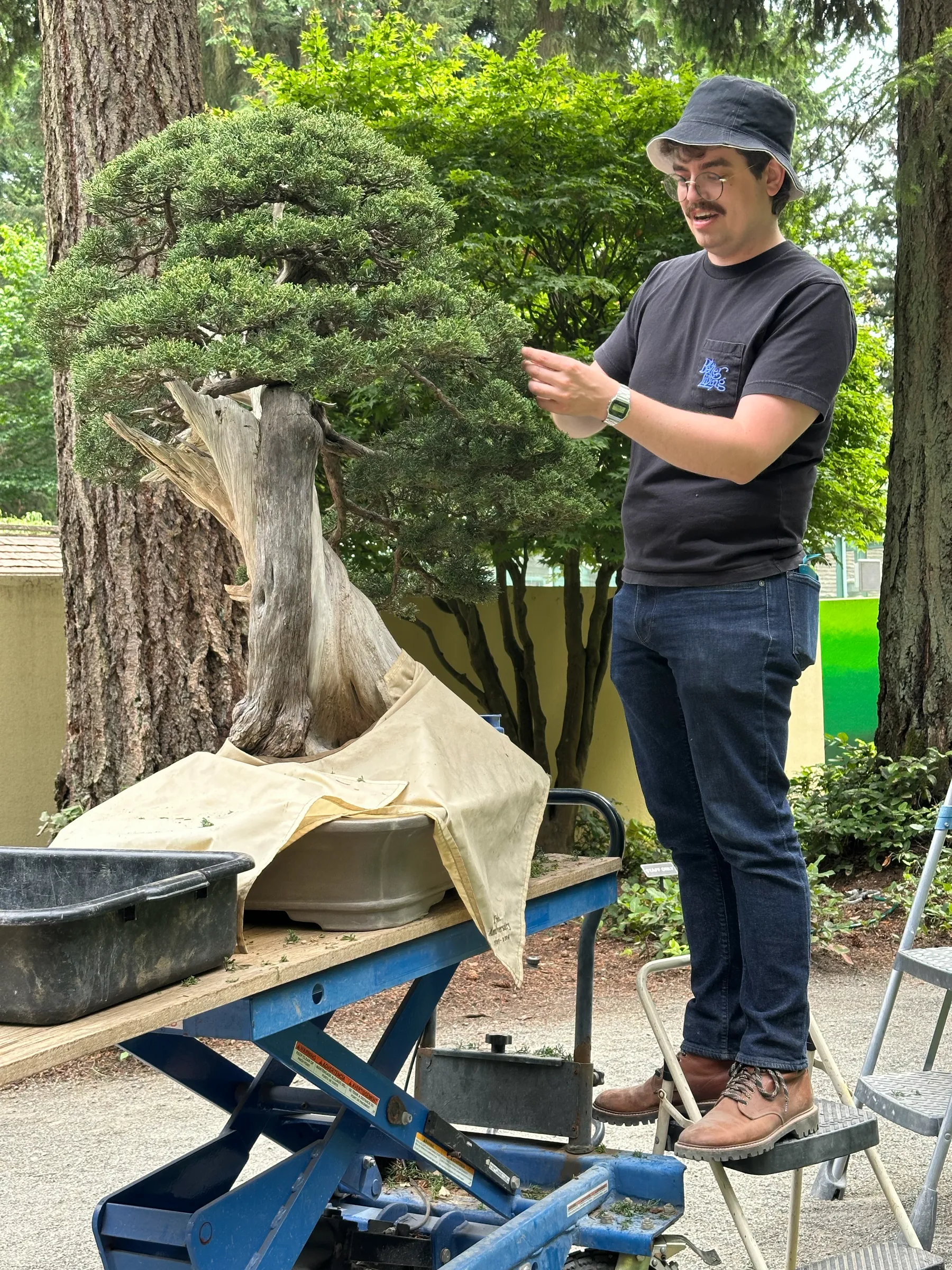 Introducing Emerald Lake Garden